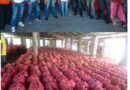 Productores de cebolla de Ocoa y otras provincias denuncian han quebrado por la importación de ese producto