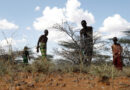 Oxfam: La reforestación del planeta para mitigar el cambio climático amenaza con agravar la hambruna