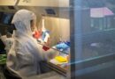 Ómicron es ampliamente dominante en EE.UU. y la OMS pide mayores esfuerzos para terminar con la pandemia