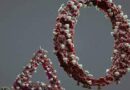 Identifican mutaciones de la variante Ómicron del coronavirus que explican por qué es tan contagiosa