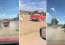 Un ‘influencer’ mexicano divulga un video que muestra el maltrato de un burro arrastrado por un camioneta y el gobernador pide una investigación