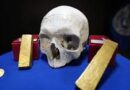 EE.UU. devuelve a Francia siete objetos de valor histórico como una moneda del siglo III y un cráneo humano de las catacumbas de París