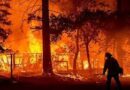 California declaró estado de emergencia en un condado debido a los incendios desatados por la ola de calor que afecta a los EEUU