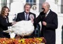 Biden indultó a dos pavos por Acción de Gracias y bromeó por el desempeño de los republicanos en las elecciones