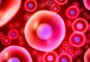 Descubren como mantener sanas las células madre de la sangre
