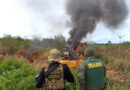 Brasil refuerza el «estrangulamiento logístico» contra la minería ilegal en tierra indígena yanomami
